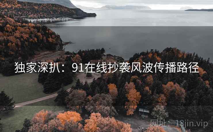 独家深扒：91在线抄袭风波传播路径