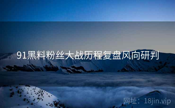 91黑料粉丝大战历程复盘风向研判