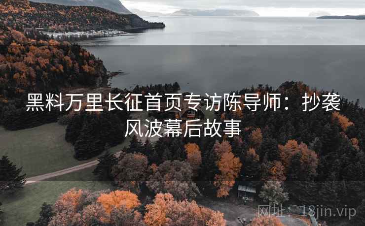 黑料万里长征首页专访陈导师：抄袭风波幕后故事