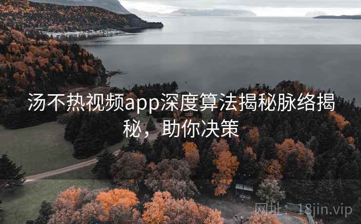 汤不热视频app深度算法揭秘脉络揭秘，助你决策