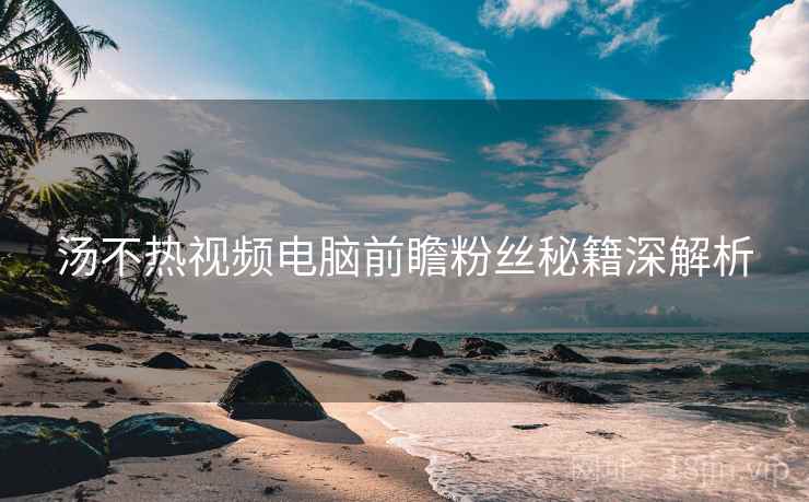 汤不热视频电脑前瞻粉丝秘籍深解析
